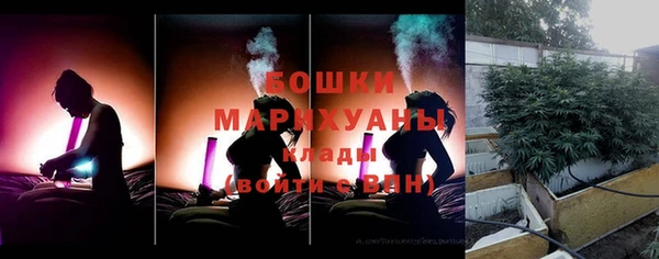 гидра Ладушкин