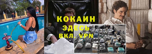 гидра Ладушкин
