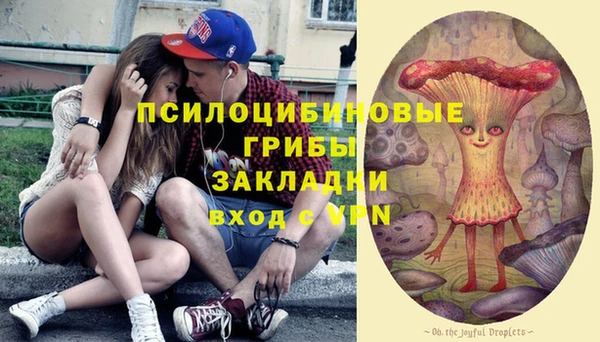 гидра Ладушкин