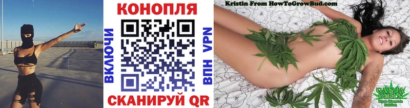 Бошки марихуана сатива  Нахабино 
